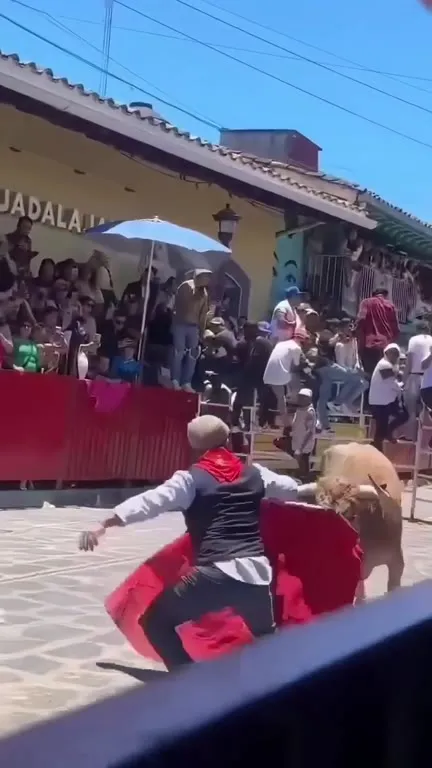 Бык под музыку атакует тореадора