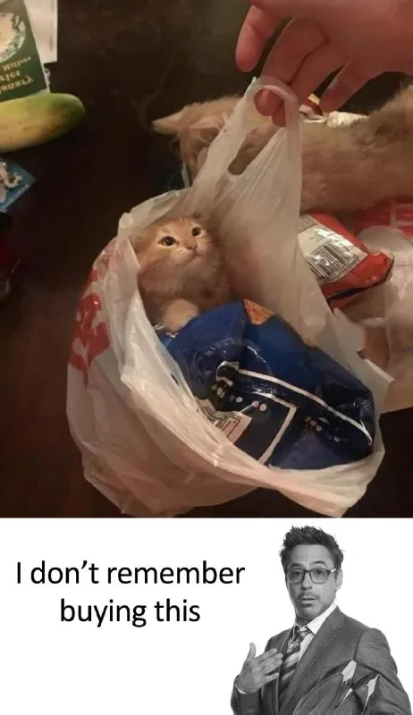 I Don't Remember Buying This