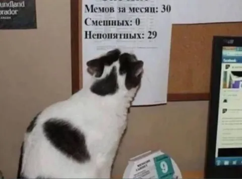 Непонятных мемов 29