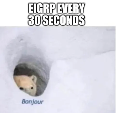 EIGRP Every 30 Seconds Bonjour