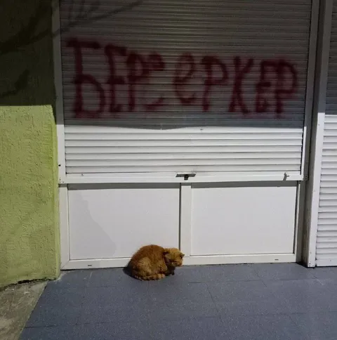 Кот у закрытого бизнеса