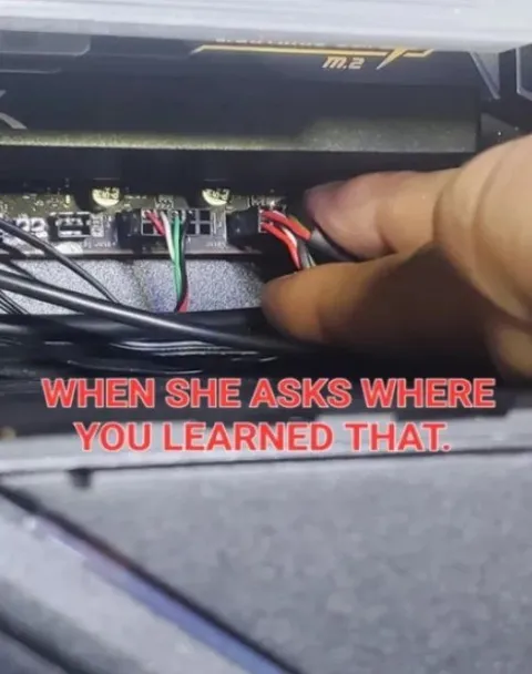 When She Asks Where You Learned That