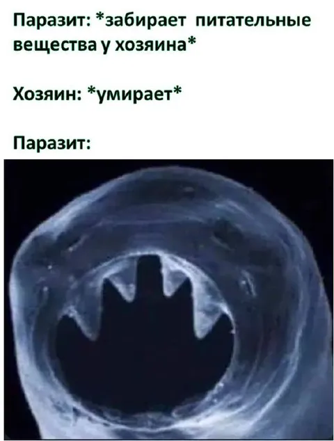Паразит без питательных веществ
