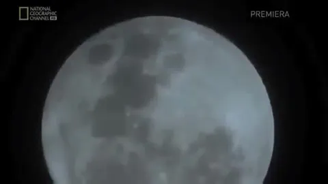 Мышь воет на луну