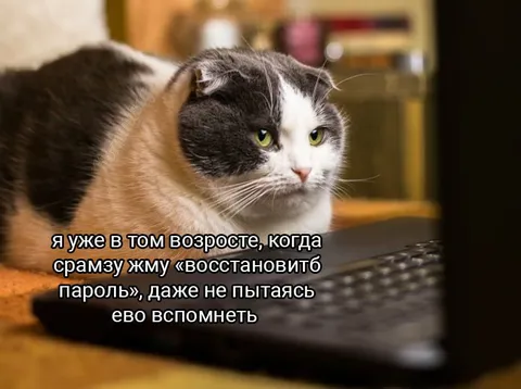 Сразу восстановить пароль