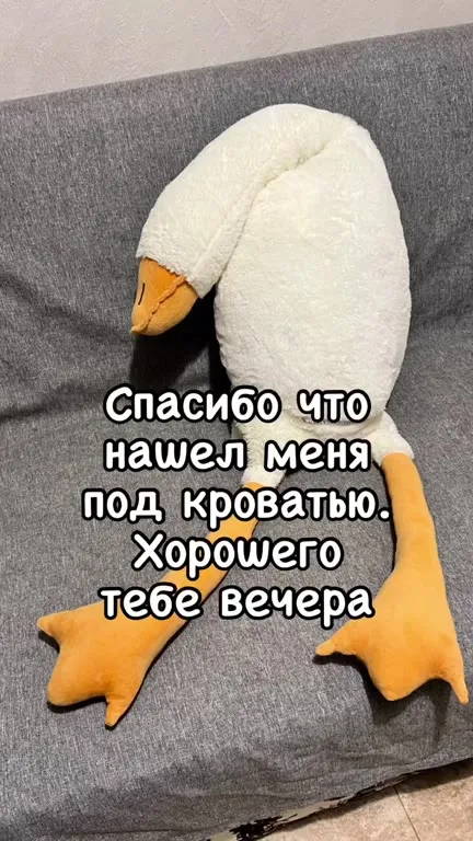 Гусь под кроватью и доберман