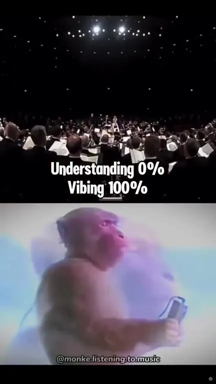 Understanding Zero Percent, Vibing One Hundred