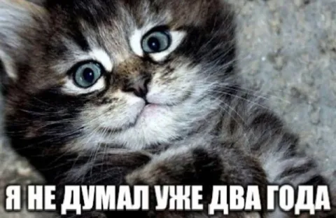 Я не думал уже два года