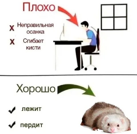 Плохо сидит, хорошо пердит