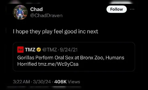 Gorillas Perform Oral Sex
