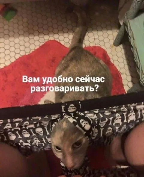 Вам удобно сейчас разговаривать?