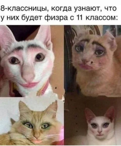 Восьмиклассницы узнали про физру