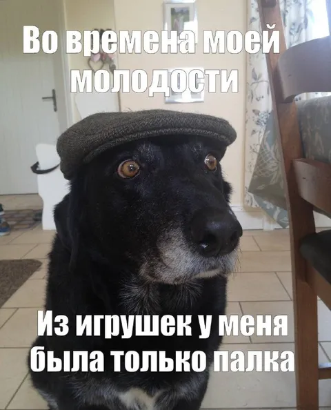 Палка вместо игрушек