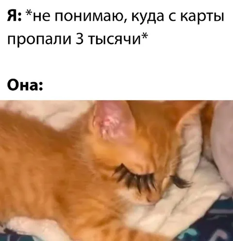 Куда пропали три тысячи