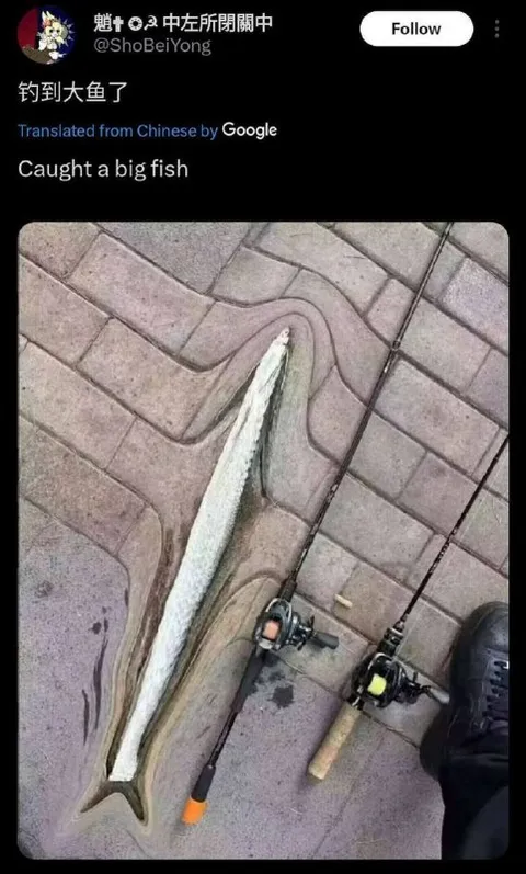 钓到大鱼了
