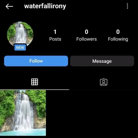 Waterfall Irony Instagram Profile