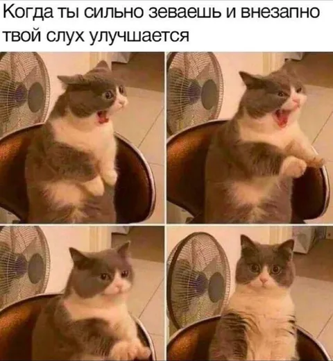 Когда после зевка улучшается слух