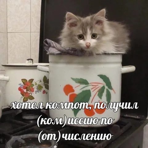 Хотел компот, получил комиссию