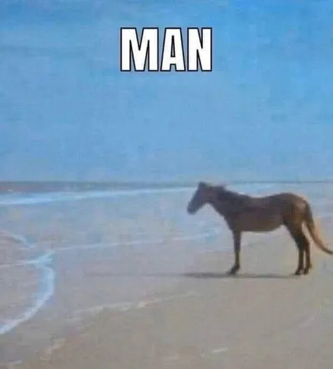 Man Horse at the Beach