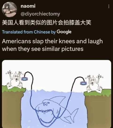 Americans Laugh at Similar Pictures