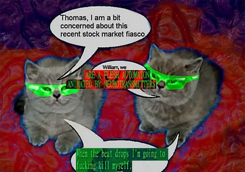 Cats Discuss the Stock Market