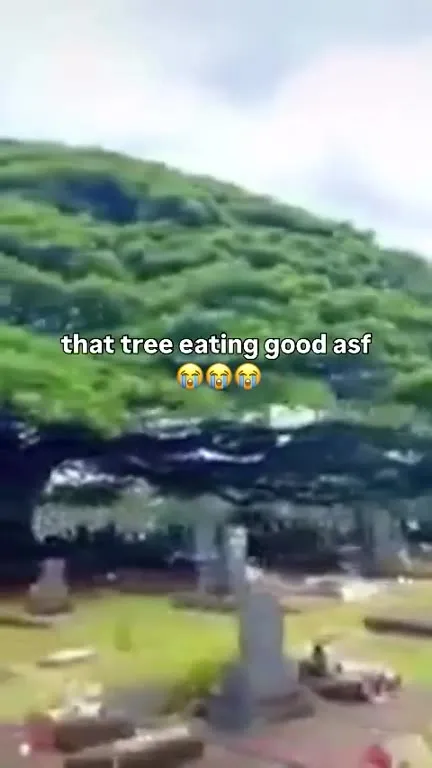 That Tree Eating Good ASF