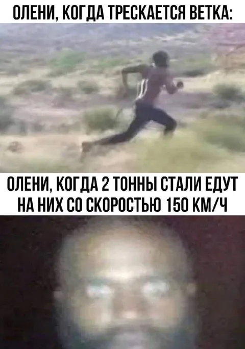 Олени убегают от двух тонн стали