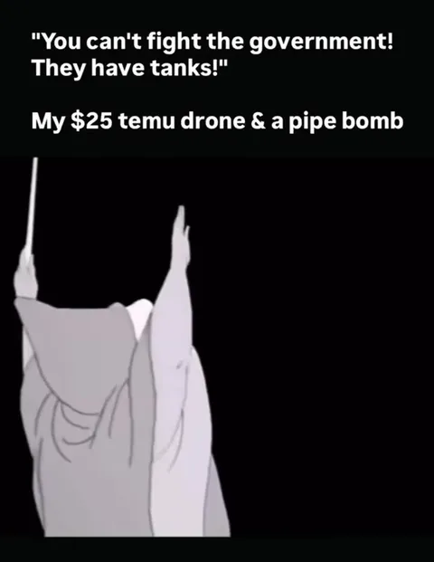 Temu Drone Versus Government Tanks