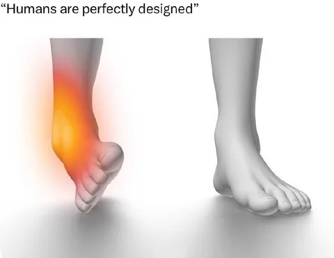 Humans Are Perfectly Designed