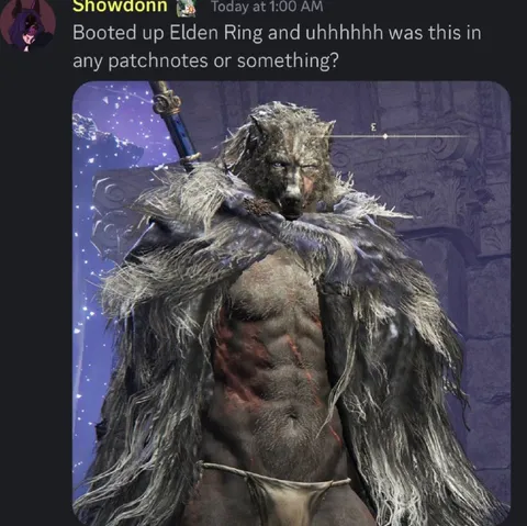 Elden Ring Patch Notes Surprise