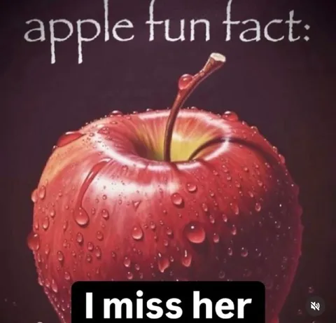 Apple Fun Fact I Miss Her