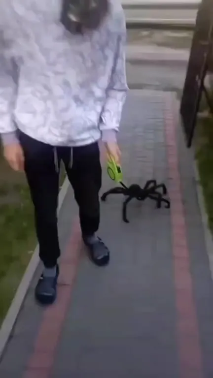 Гигантский паук на прогулке