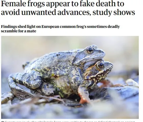 Female Frogs Fake Their Death
