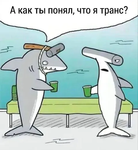 Как ты понял, что я транс?