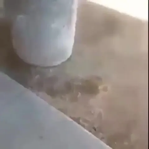 Странное содержимое туалета