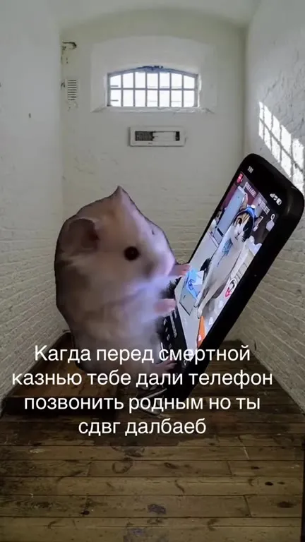 Хомяк звонит родным перед казнью