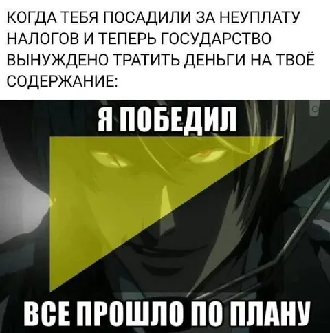 Государство оплатило моё содержание