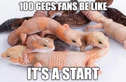 100 Gecs Fans Start