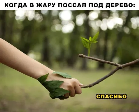 Пописа́л под дерево