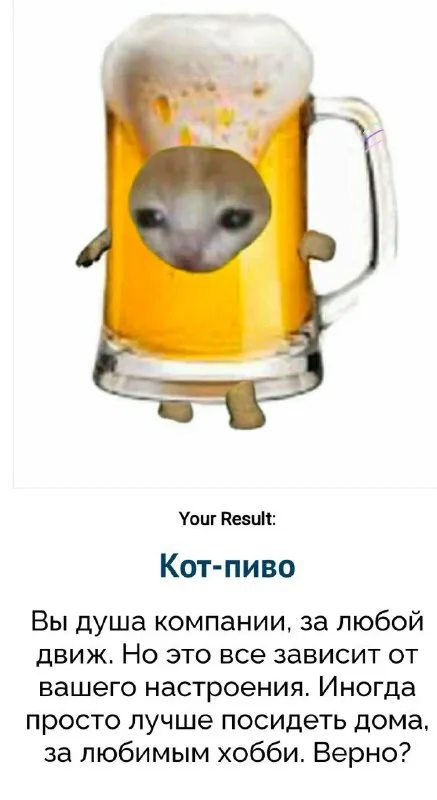 Кот-пиво — душа компании
