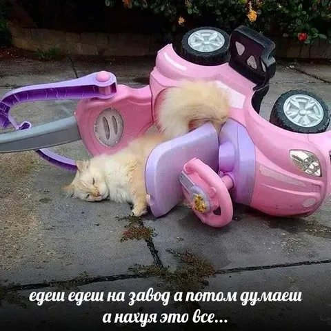 Едешь на завод и думаешь зачем