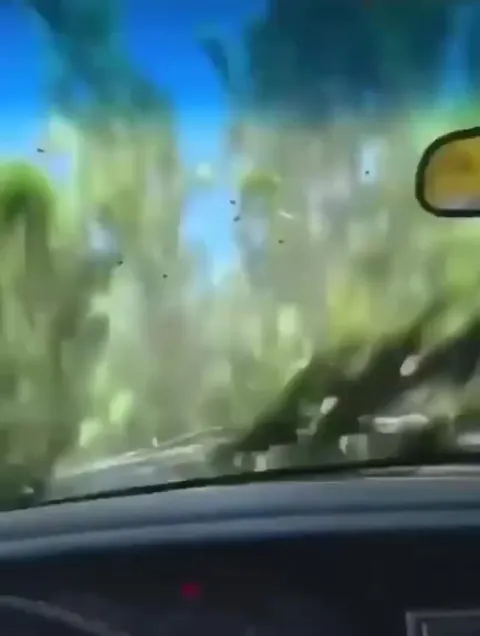 Моя летняя машина