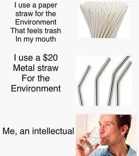 Environmental Straw Intellectual