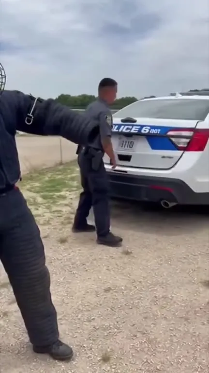 Police K9 Pug Finds John Cena