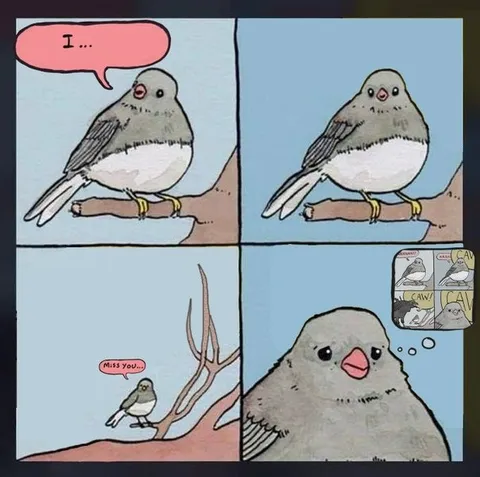 Bird Misses You