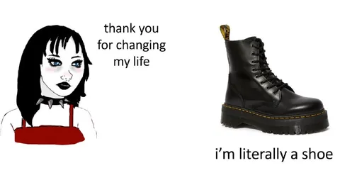 Literally a Shoe