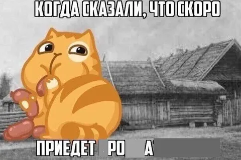 Когда скоро приедет родня
