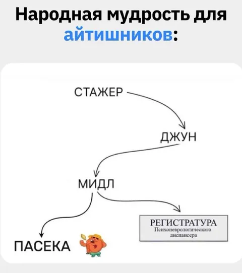 Карьерный путь айтишника