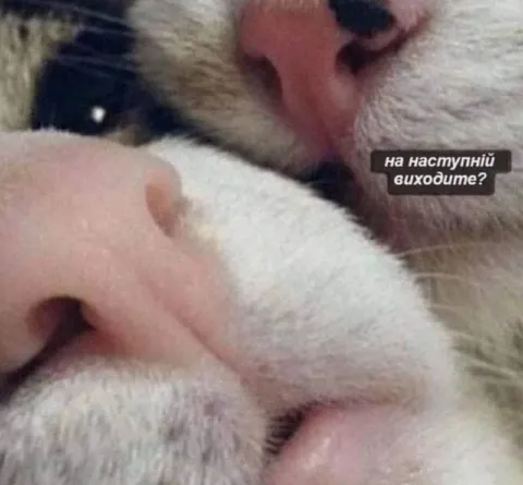 На наступній виходите?