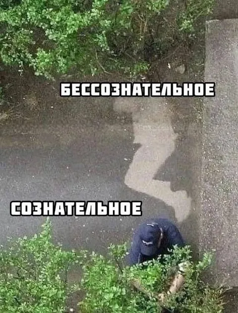 Бессознательное и сознательное